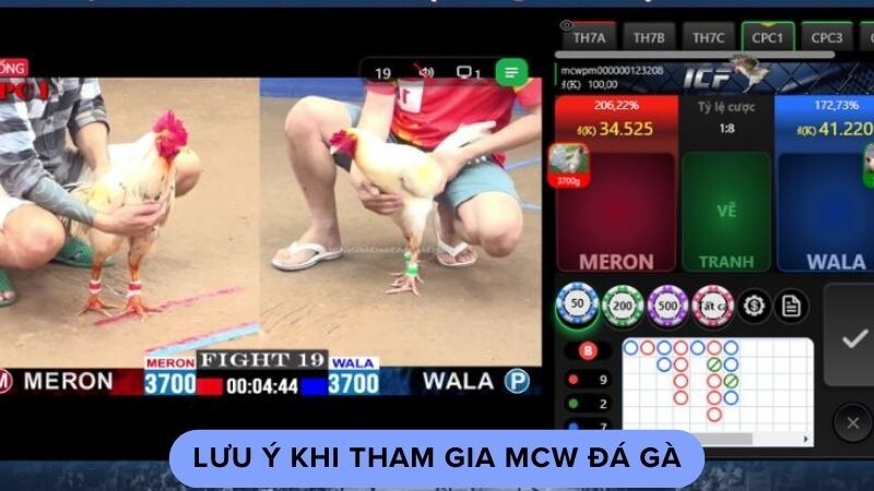 Lưu ý khi tham gia mcw đá gà