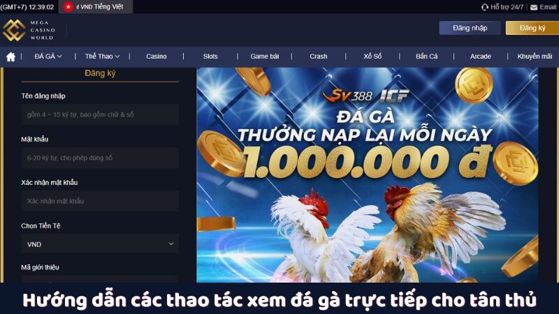 Hướng dẫn các thao tác xem đá gà trực tiếp cho tân thủ